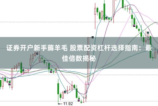 证券开户新手薅羊毛 股票配资杠杆选择指南：最佳倍数揭秘