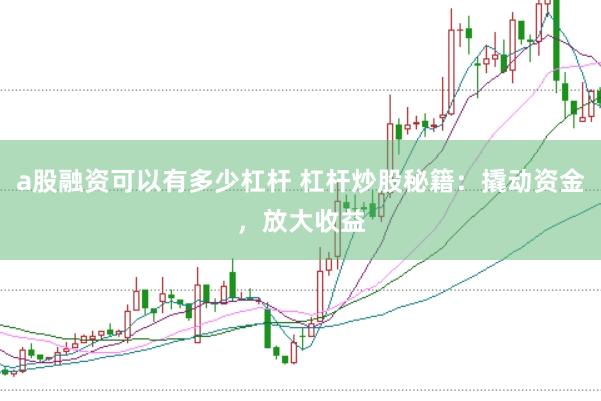 a股融资可以有多少杠杆 杠杆炒股秘籍：撬动资金，放大收益