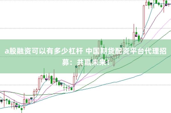 a股融资可以有多少杠杆 中国期货配资平台代理招募：共赢未来！
