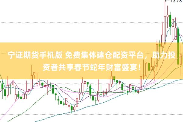 宁证期货手机版 免费集体建仓配资平台，助力投资者共享春节蛇年财富盛宴！