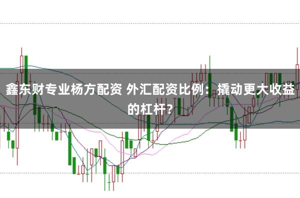 鑫东财专业杨方配资 外汇配资比例：撬动更大收益的杠杆？