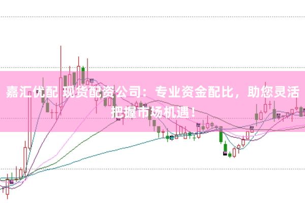 嘉汇优配 现货配资公司：专业资金配比，助您灵活把握市场机遇！
