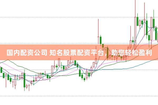 国内配资公司 知名股票配资平台，助您轻松盈利
