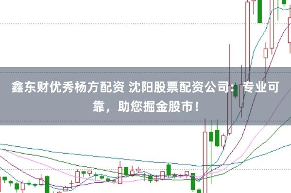 鑫东财优秀杨方配资 沈阳股票配资公司：专业可靠，助您掘金股市！
