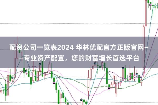 配资公司一览表2024 华林优配官方正版官网——专业资产配置，您的财富增长首选平台