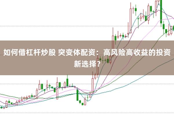 如何借杠杆炒股 突变体配资：高风险高收益的投资新选择？