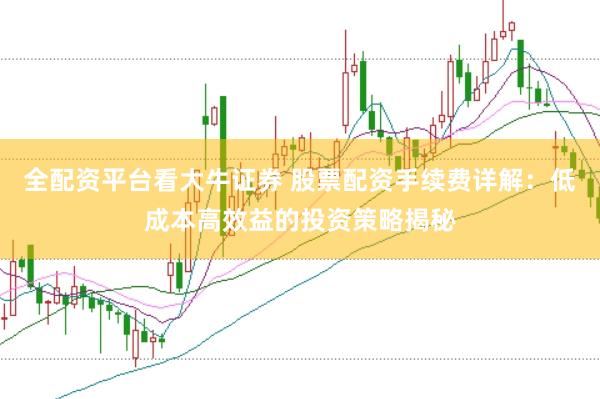 全配资平台看大牛证券 股票配资手续费详解：低成本高效益的投资策略揭秘