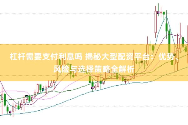 杠杆需要支付利息吗 揭秘大型配资平台：优势、风险与选择策略全解析