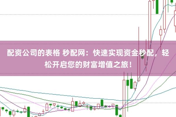 配资公司的表格 秒配网：快速实现资金秒配，轻松开启您的财富增值之旅！