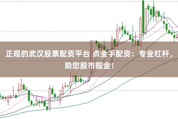 正规的武汉股票配资平台 点金手配资：专业杠杆，助您股市掘金！