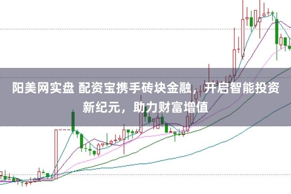 阳美网实盘 配资宝携手砖块金融，开启智能投资新纪元，助力财富增值