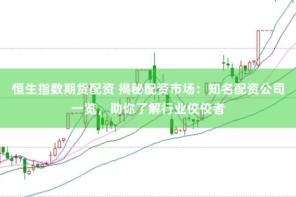 恒生指数期货配资 揭秘配资市场：知名配资公司一览，助你了解行业佼佼者