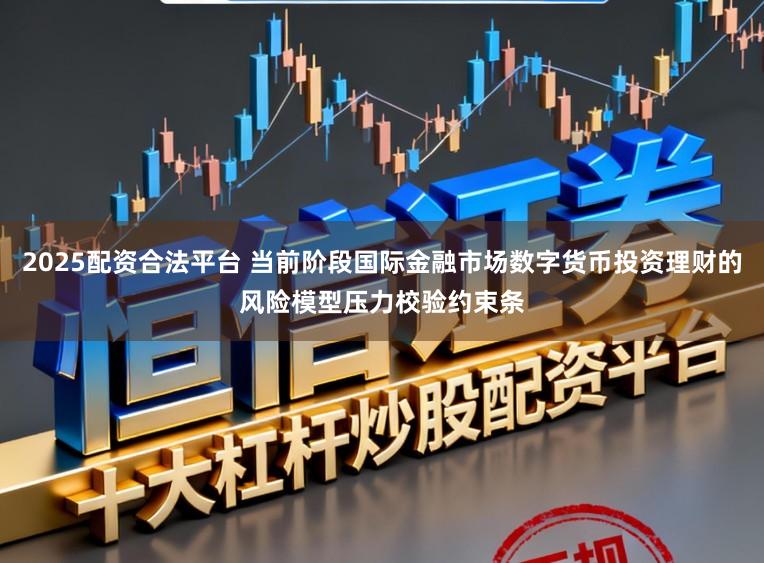 2025配资合法平台 当前阶段国际金融市场数字货币投资理财的风险模型压力校验约束条