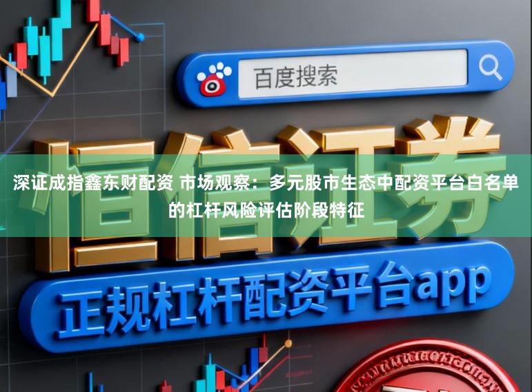 深证成指鑫东财配资 市场观察:多元股市生态中配资平台白名单的杠杆风险评估阶段特征