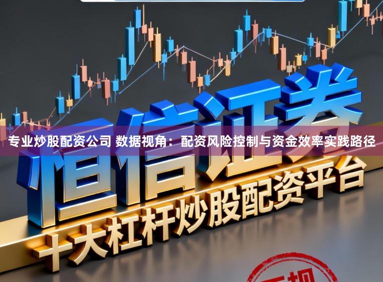 专业炒股配资公司 数据视角：配资风险控制与资金效率实践路径